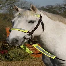 Luna Rider Reflective Bridle Kit Yellow