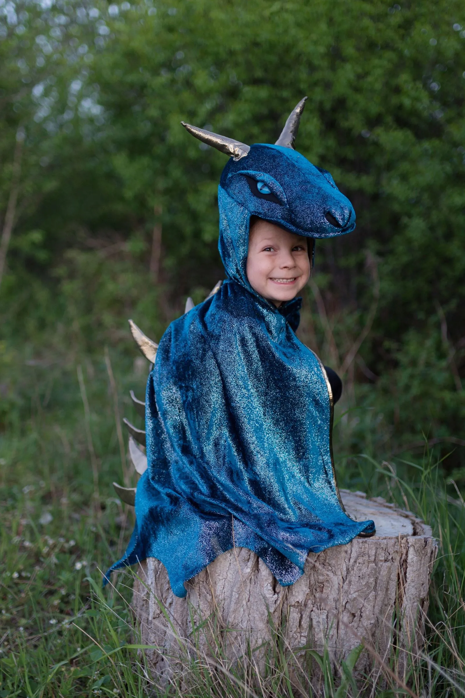 Starry Night Dragon Cape