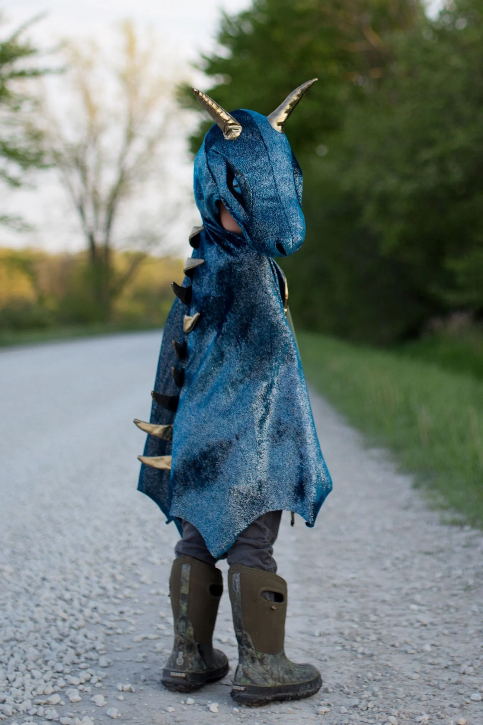 Starry Night Dragon Cape